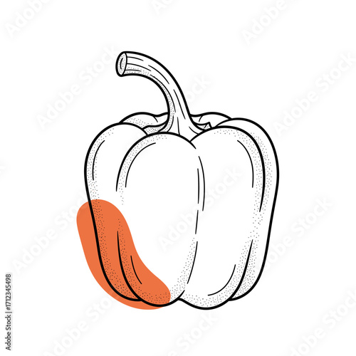 Hand drawn bell pepper with orange highlight.