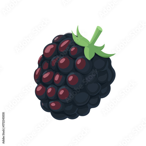 Flat 2D Blackberry vector illustration, icon graphic on white background
