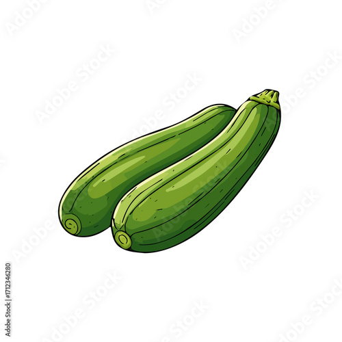 Flat 2D Zucchini vector illustration, icon graphic on white background