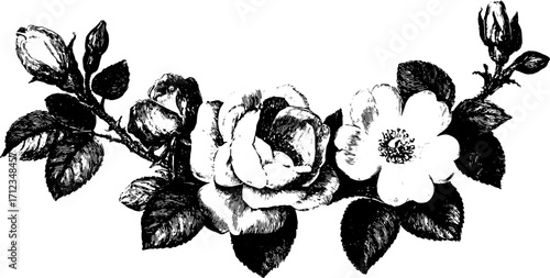 Rose and flower sketch illustration with leaves. Simple black and white floral vector art set for decorative use.