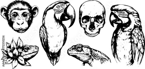 Animal portraits featuring a monkey, parrot, lizard, and skull in a black and white vintage style. Hand-drawn vector illustration set.