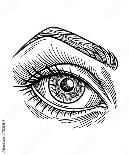 Mysterious Eye Gazing Through Lines A Hands Drawing Illustration