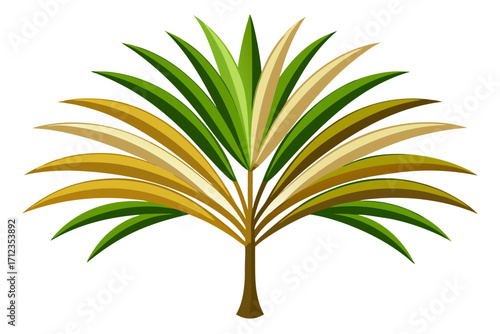 palm tree leaf