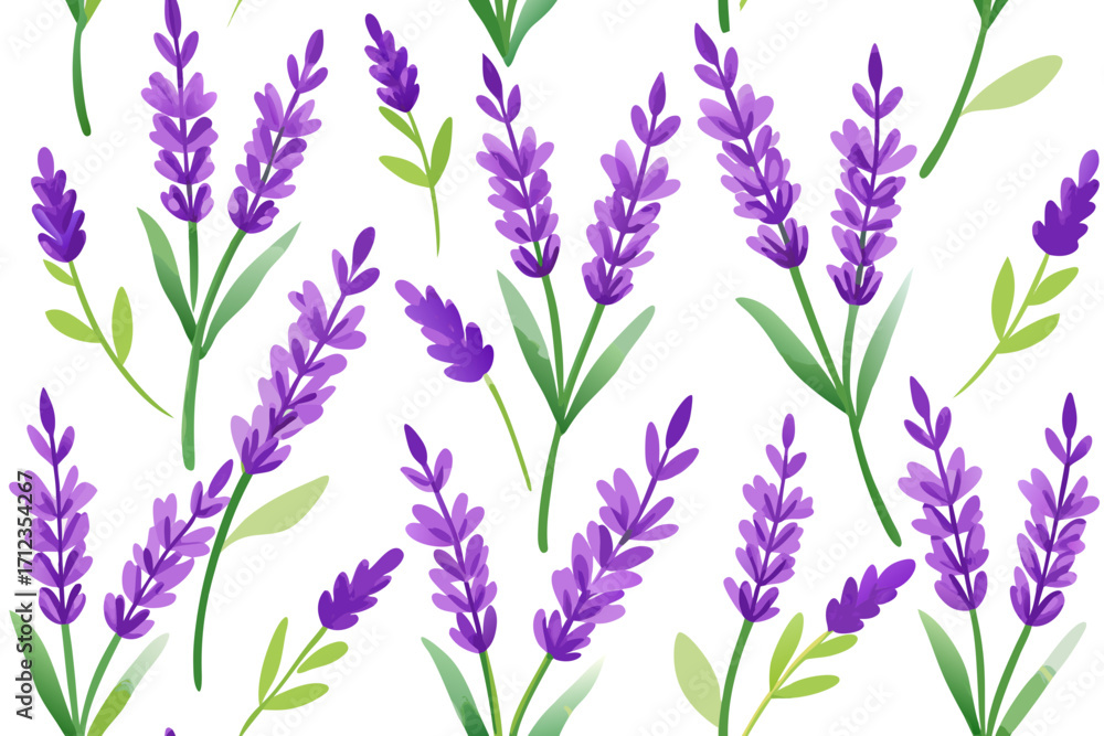 Fototapeta premium lavender flowers on white