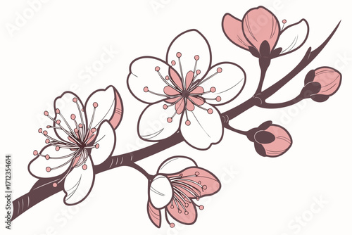 branch of cherry tree