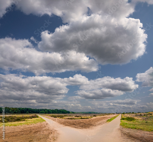 Cuadro en lienzo A scenic view of a path diverging under a sky filled with large fluffy clouds
