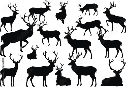 Deer silhouette vector set, wild animal poses, antler shapes, standing deer, walking deer, lying deer, forest wildlife, hunting design elements