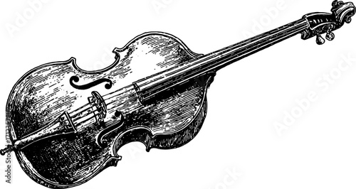 Violin instrument drawing in vintage sketch style. Detailed black and white vector illustration showcasing craftsmanship and elegant design.
