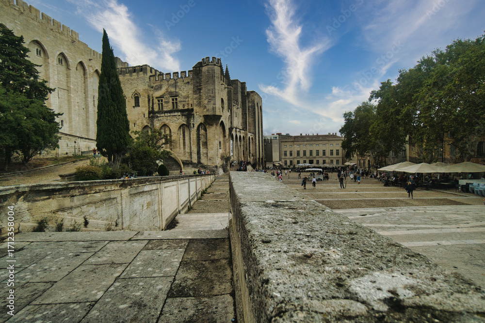 Obraz premium Papal Palace in Avignon (Palais des Papes), France
