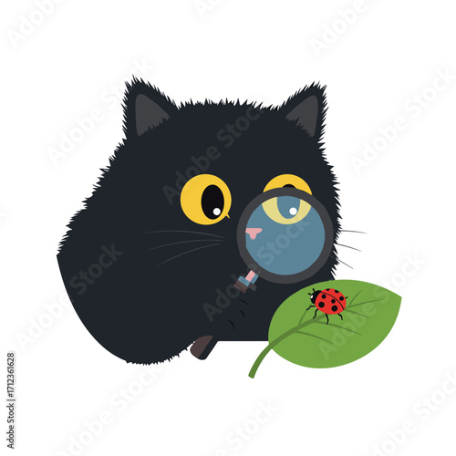 Flat icon of black fluffy cat using magnifying glass to observe a ladybug on a leaf, isolated