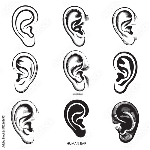 Nine Detailed Line Art Illustrations of a Human Ear silhouette vector:  Black and White, Vintage Style.