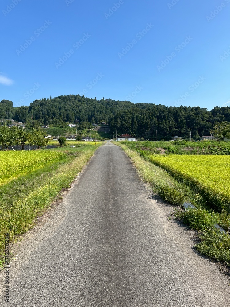 Obraz premium 寒河江の農道