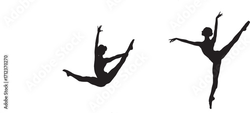 Graceful Silhouette Dancers in Motion Capturing Elegance and Fluidity in Dance Performances