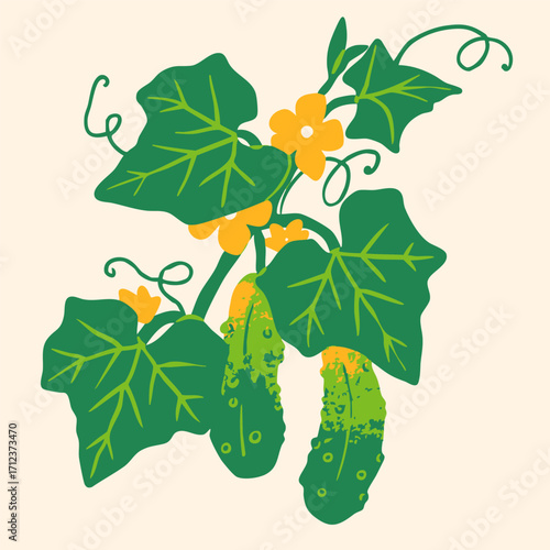 Green cucumbers grow on branch with leaves, yellow flowers. Whole fresh tasty young cucumbers. Hand drawn trendy Vector illustration. Isolated design element. Logo, sticker, print template