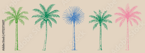 Various Palm tree set. Colorful tropical plants. Coconut, beach palms. Abstract bright silhouettes. Hand drawn modern Vector illustration. Isolated design elements. Print, sticker templates