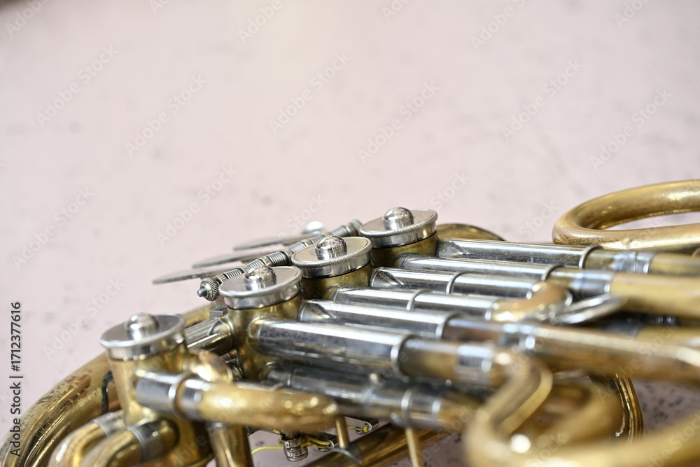 Obraz premium 吹奏楽部の楽器