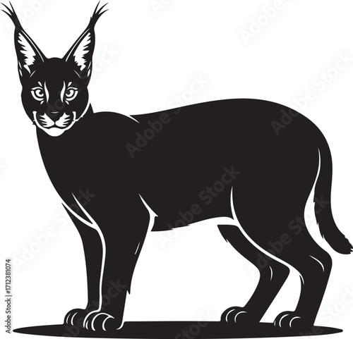 Caracal Standing Silhouette Black Vector Wild Cat Illustration