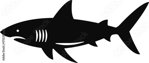 vector illustration of a shark silhouette