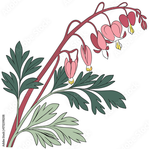 dutchmans breeches with leaves 