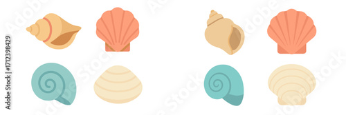 Colorful collection of seashells displayed in a simple, artistic arrangement on a light background