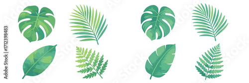 Vibrant green leaves and ferns showcasing nature's beauty in a simple botanical arrangement