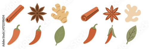 Colorful spices and herbs arranged artistically on a white background showcasing various culinary ingredients