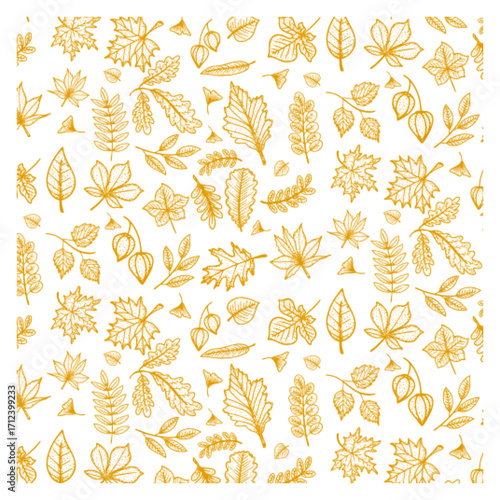 Autumn foliage hand drawn leave set botanical and branches seamless pattern