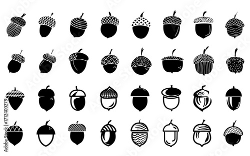 Webhand drawn acorn icon silhouette set autumn nature design
