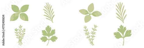 Fresh herbs displayed in a neat arrangement showcasing basil, rosemary, and cilantro in soft green tones