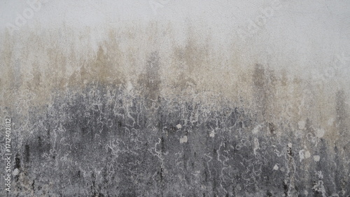 Foto An abstract, textured surface is shown with patches of black and white mold spreading across a dirty, discolored wall