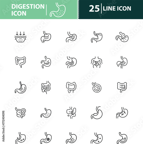 digestion icon, stomach icon, intestine icon, digestive system icon, liver icon, pancreas icon
