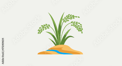 Rice plant growing in soil with water stream.