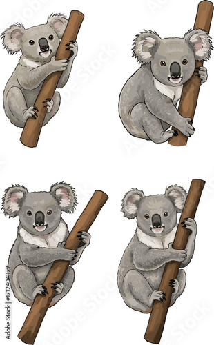 Cute cartoon koalas clinging to tree branches in various poses, adorable Australian animal vector set for kids and nature themes