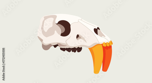 Saber Toothed Tiger Skull Illustration.