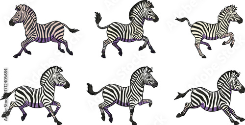 Cartoon zebras running in motion sequence, stylized vector illustration with stripe variations, ideal for animation, wildlife design, and character reference