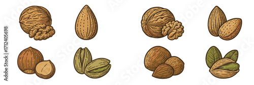 Nut varieties arranged in a decorative layout showcasing their unique shapes and textures in a natural style