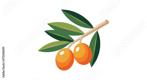 Simple cartoon illustration of an olive branch with fruit.