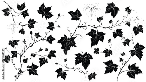 Elegant Black and White Ivy Stencil Set for Artistic Designs