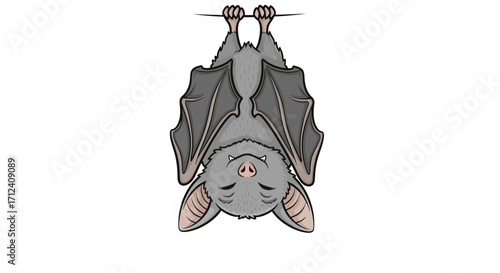 Adorable Hanging Bat Illustration Cute Cartoon Bat Design