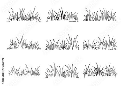 Grass line art Vector