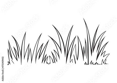 Grass line art Vector