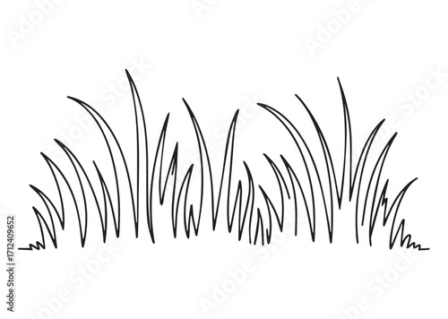 Grass line art Vector