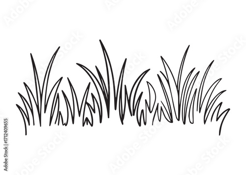 Grass line art Vector