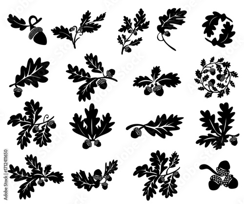 Nature autumn oak and ancorns silhouette collection
