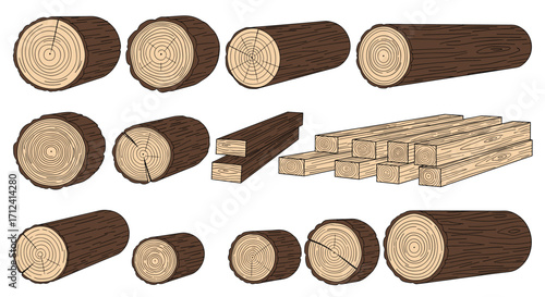 Collection of processed wood products and raw timber logs.