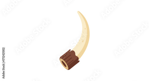 A single curved tusk with a brown textured base isolated on white.