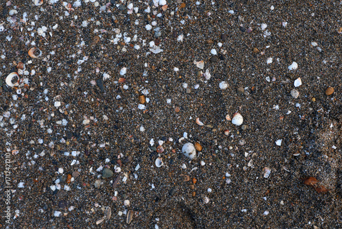 Fotografie Close ground view of wet beach granules with a diagonal band marking the compacted swash zone