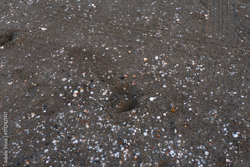 Fotografie Close ground view of wet beach granules with a diagonal band marking the compacted swash zone