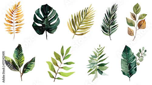 Exotic Plants Leaf Set on Isolated Background for Botanical Designs