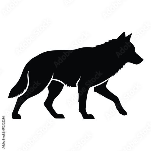 Black silhouette of a wolf walking profile view detailed animal graphic silhouette